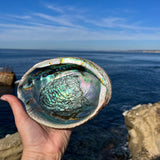 Abalone Cleansing Bowl