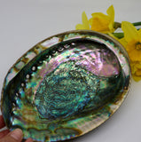 Abalone Cleansing Bowl