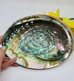 Abalone Cleansing Bowl