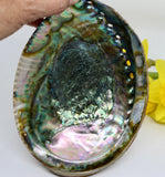 Abalone Cleansing Bowl