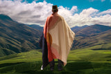 Mexican Blanket ~ Sun Rising - SHIPS FREE!